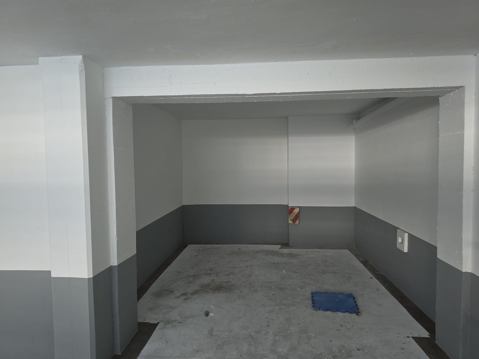 Proyecto 11